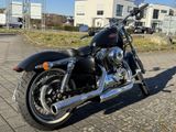 Harley-Davidson Sporster 72 Black Denim - Offers matching your search criteria