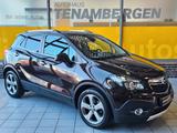 Opel Mokka X AHK SHZ LHzg 230V Steckdose - Opel Mokka X mit Benzin-Antrieb: Braun