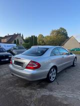 Mercedes-Benz CLK 500 Avantgarde V8 ACC Keyless TÜV/ASU NEU - Mercedes-Benz CLK 500 aus 2004