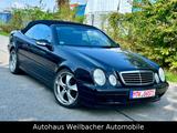 Mercedes-Benz CLK 430 AVANTGARDE Automatik * Super-Optik * - Mercedes-Benz CLK 430: Cabrio