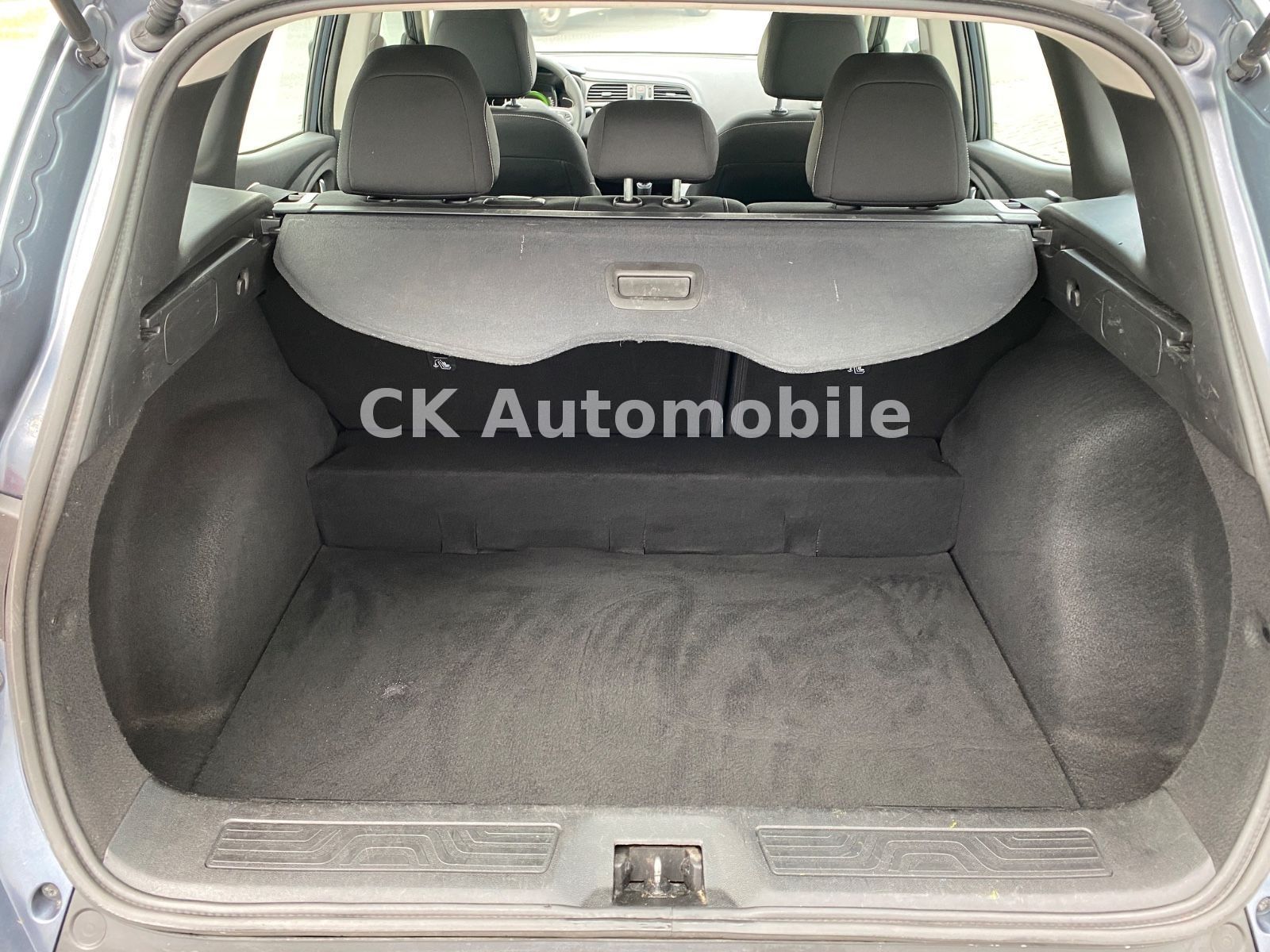Fahrzeugabbildung Renault Kadjar Life 1.2 TCe/Klima/Tempomat/PDC/AHK
