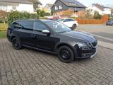 Skoda Octavia 2.0 TDI DSG 4x4 Scout Combi Scout - Skoda: Combi Scout