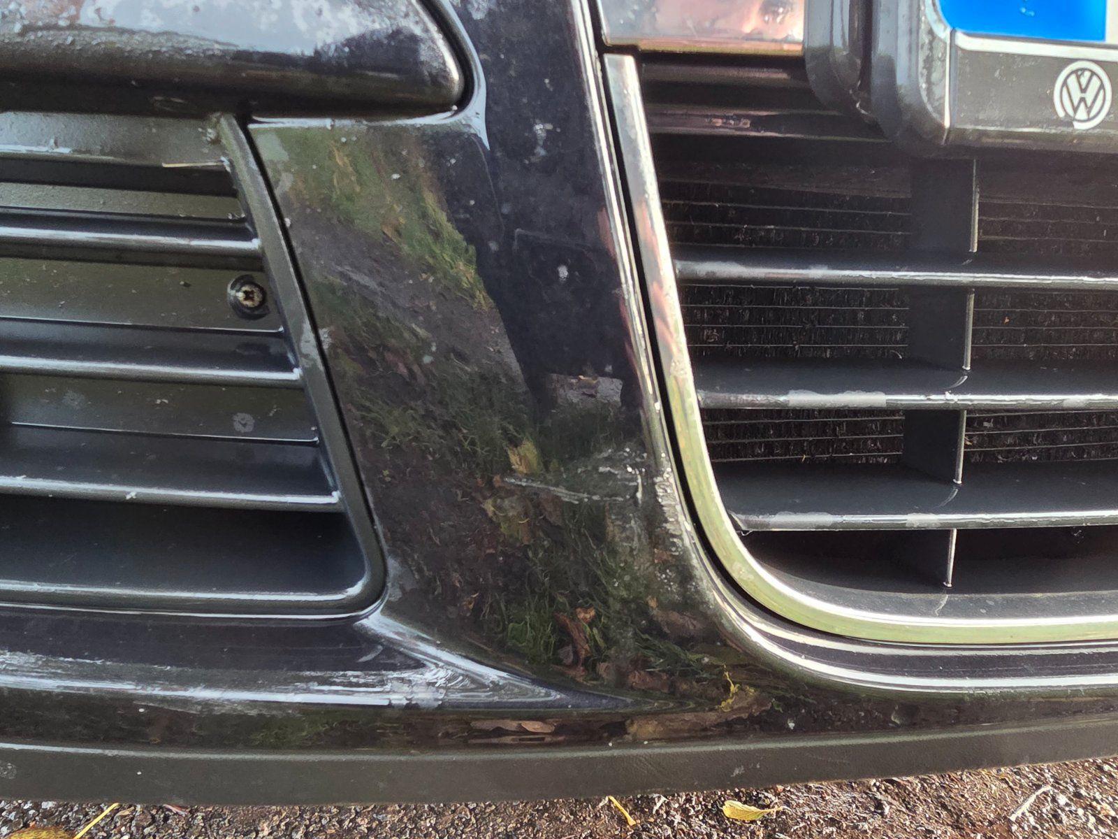 Volkswagen Golf 2008 — photo 10