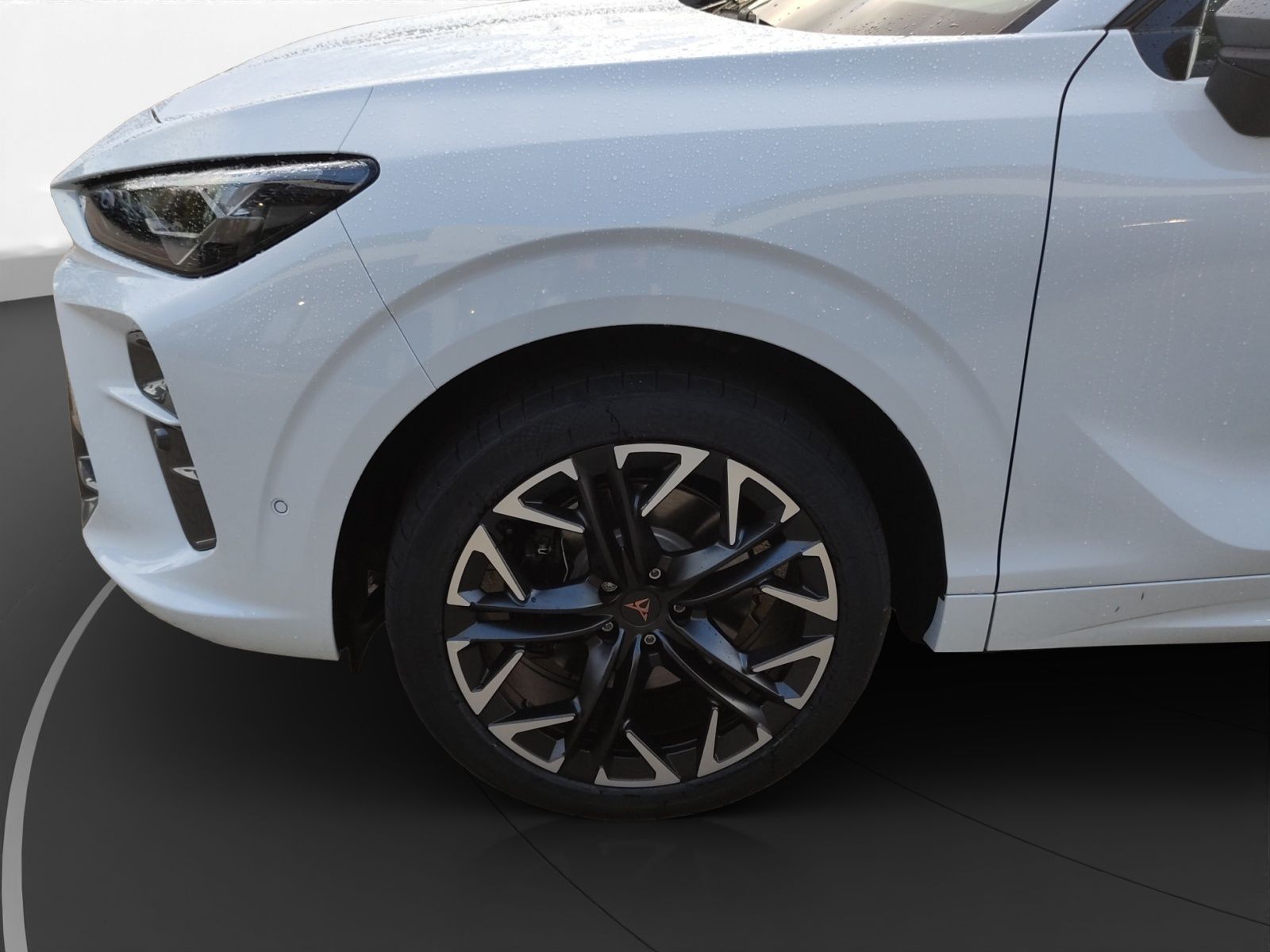 Cupra Terramar - Bild 8