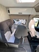 Roller Team Livingstone 2 Sport * Sofort - Roller Team Heckgarage