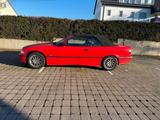 BMW Bmw e36 Cabrio 318i - BMW 318 aus 1995: 318i