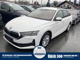 Skoda Octavia Combi 1.5 eTSI DSG Selection, FS-beheizb - Skoda Octavia Tageszulassungen