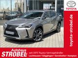 Lexus UX 250h Style Edition*Bi-LED*SHZ*Kamera*PDC* - silberne Lexus UX