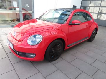 Volkswagen Beetle - 1
