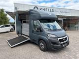 Peugeot Boxer MSG Pferdetransporter Stablehopper 3-Sitze - Tier-/Pferdetransport 3 pferde