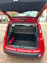 Fiat New Panda 1.2 8V EASY EASY - rote Fiat New Panda