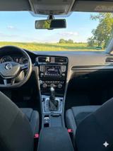 Volkswagen Golf 1.4 TSI 92kW DSG BMT Highline Highline - Volkswagen: 1.9