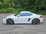 Porsche Cayman 2.7 - 202Kw 2,7i - Porsche Cayman: 2.7