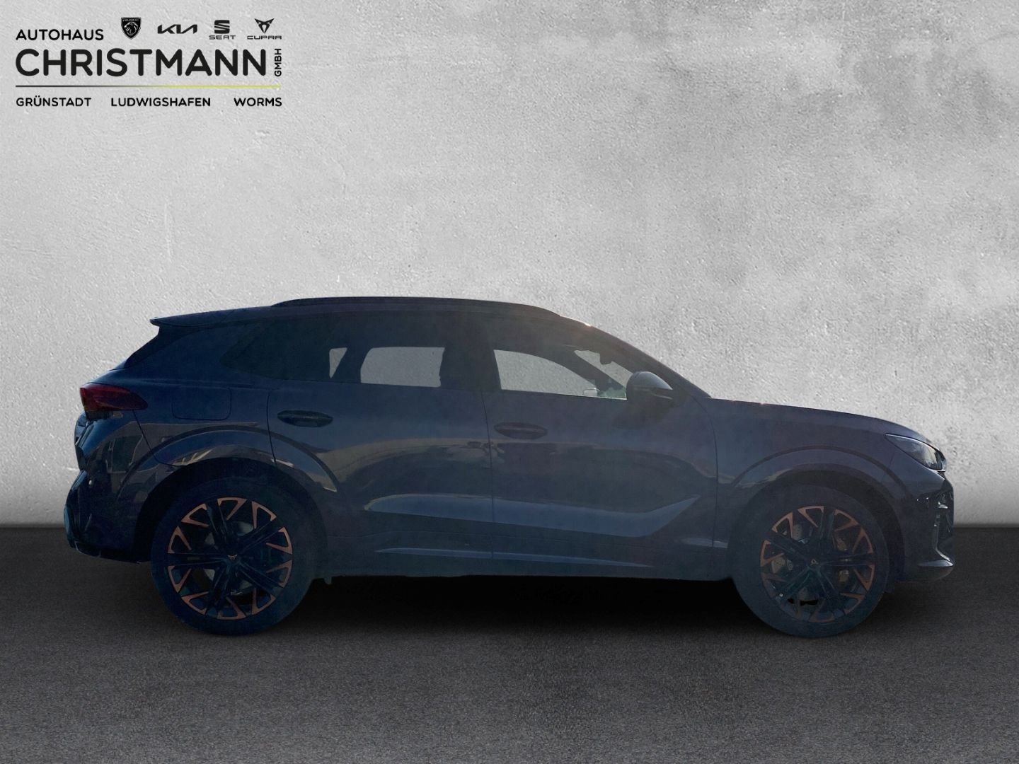 Fahrzeugabbildung CUPRA Terramar 195 kW 4Drive VZ*HUD*AHK*PANNO*Standhz*