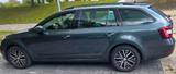 Skoda Octavia Combi 1,5 TSI DSG LED Navi S... - Skoda Octavia Gebrauchtwagen in Kiel