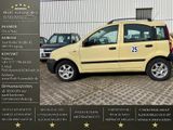 Fiat Panda 25 KMH KM H*Klima*1.Hd*68.000KM*Lieferg* - Fiat Panda aus 2009
