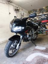 Suzuki SV 650S K4 48 PS  - SUZUKI 2005 SV650