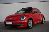 Volkswagen New Beetle 1.4 TSI Design 1.Hand PANORAMA - Volkswagen Beetle: Rot