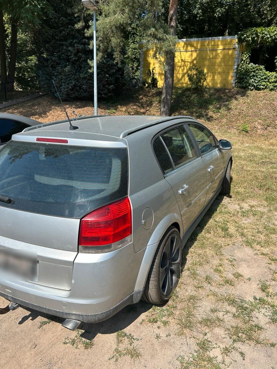 Opel Signum 2004 — rear view