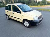 Fiat RATENKAUF MÖGLICH FIAT PANDA TÜV INSPEKT... - Fiat Panda in Hagen