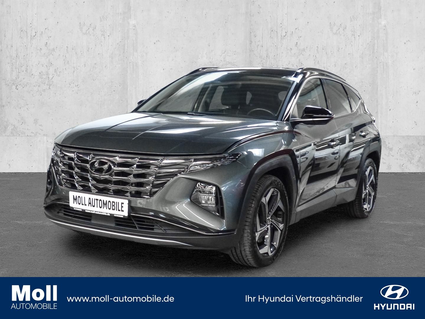 Hyundai Tucson Prime Mild-Hybrid 4WD CRDi Navi Leder Dig