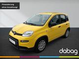 Fiat Panda 1.0 GSE Hybrid PDC - Fiat Panda: 1.0
