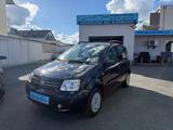 Fiat Panda 1.2 8V Dynamic orginal 20525km - Fiat Panda Gebrauchtwagen in Frankfurt