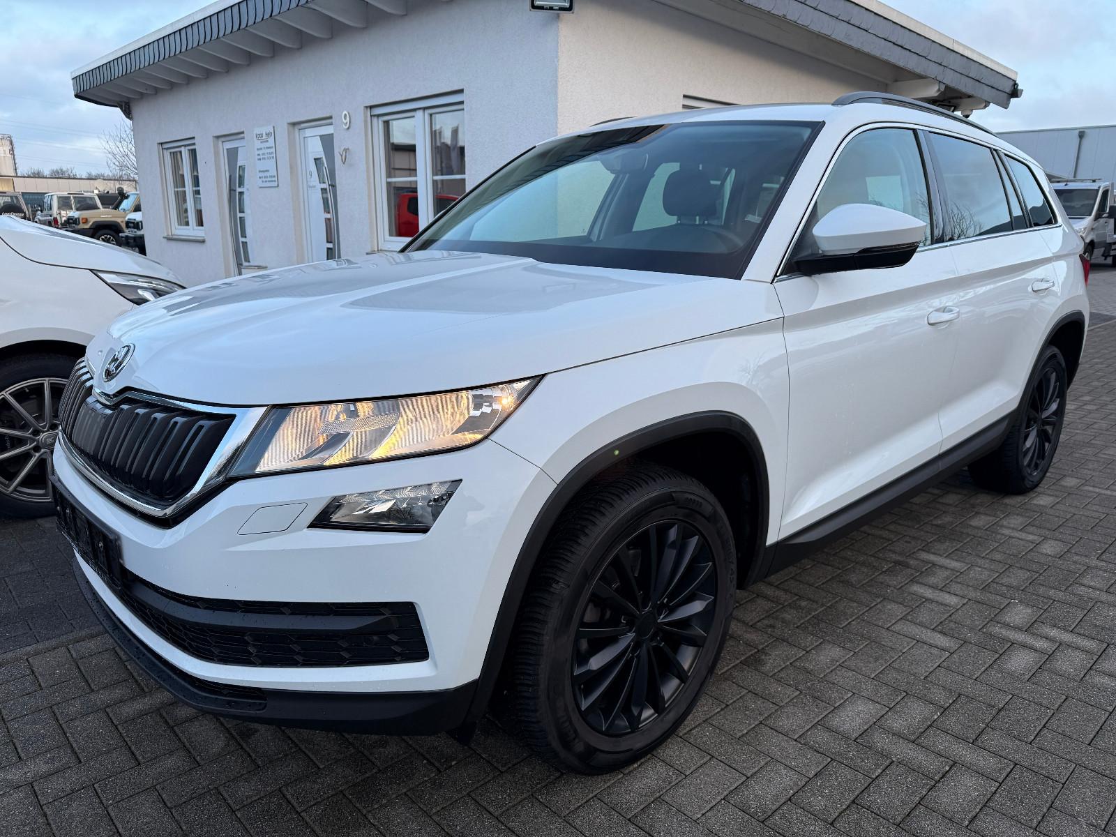 Skoda Kodiaq Ambition 4x4 Autom. Navi