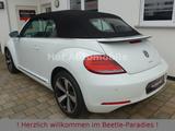 Volkswagen Beetle 1.2TSI Allstar Plus Fender Leder Kamera - Volkswagen: Allstar