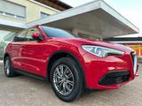 Alfa Romeo Stelvio Super Q4 Aut Navi Leder Bi-Xenon Kamera - Alfa Romeo aus 2020