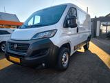 Fiat Ducato Kasten 30 120 L1H1 RS SX-Paket High-End - Fiat Ducato in Magdeburg
