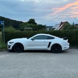Ford V8 Ford Mustang Widebody | Sportabgasanlage  - Ford Mustang: For