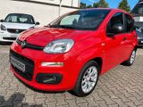 Fiat Panda More 1.Hd  Klima/PDC/MFL/LM-Räder - Fiat Panda: Rot