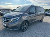 Mercedes-Benz V 250 CDI Avantgarde lang +360GRAD+AHK+LED+BUR+ - Mercedes-Benz V 220: Cdi
