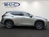 Lexus NX 350h Business~Bel.Sitze~360Kamera~ - Lexus aus 2023