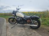 Moto Guzzi California jackal Stone - Moto Guzzi California Jackal
