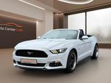 Ford Mustang Basis Convertible/3.7/Cabrio/Top geflegt - gebrauchte Ford Roadster