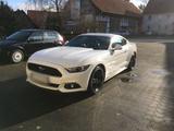 Ford Mustang 2.3 EcoBoost - 20 Zoll / Scheckheft - Ford: 20m