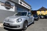 Volkswagen Beetle Lim. Cup - Volkswagen Beetle: Cup
