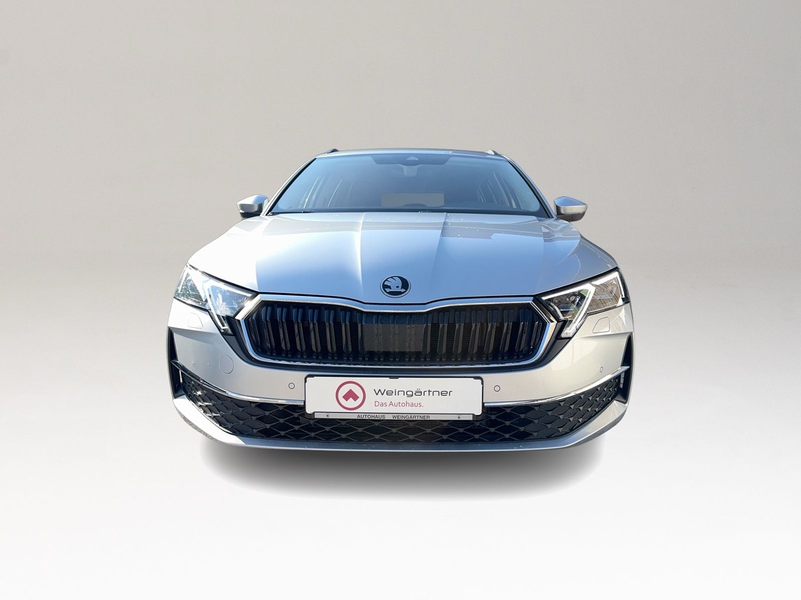 Octavia Combi Selection 2.0 TDI, Matrix LED, 17"