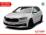 Skoda Fabia 1.0 Ambition LED SmartLink Sitzheizung PDC