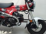 Honda Dax ST125 TZ - HONDA DAX 125