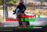 Ducati DesertX Demobike aus 2023/2024 - DUCATI DESERTX