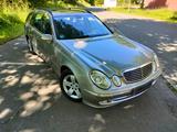 Mercedes-Benz Mercedes E 270cdi - Mercedes-Benz E 270: Kombi