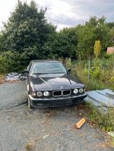 BMW 7er E32 V8 - BMW aus 1992: 3er