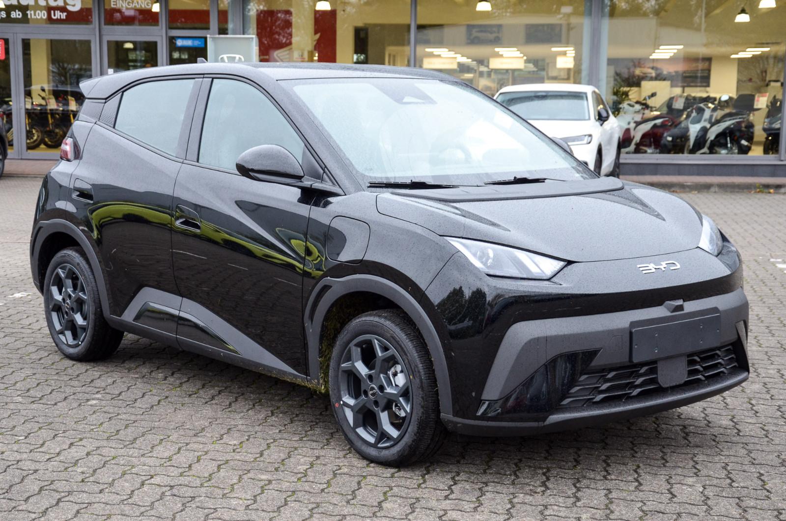 BYD Dolphin Surf Boost