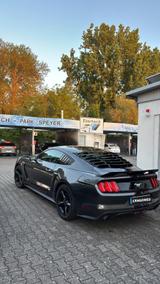 Ford Mustang 2.3 EcoBoost Auto - - Ford Mustang: 2.3