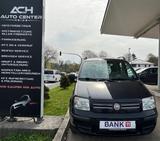 Fiat Panda 1.2 8V Dynamic (KLIMA~TÜV~85TKM) - Fiat Panda: Dynamic
