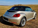 Volkswagen Beetle 1.2 TSI Design BMT Cabrio - Volkswagen Beetle: Beige
