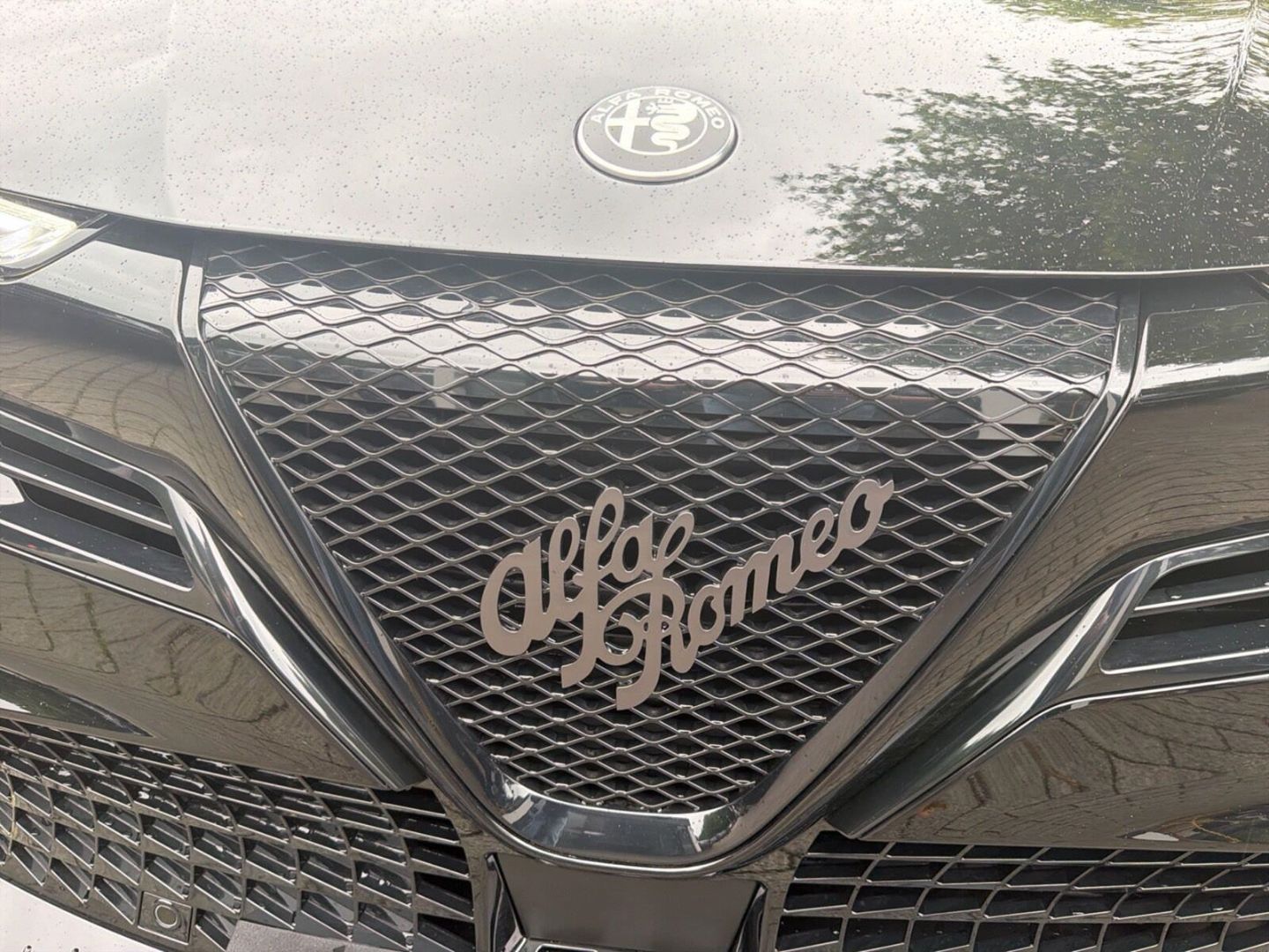 Fahrzeugabbildung Alfa Romeo Junior Elettrica Sport Speciale -Panorama-Wärmep